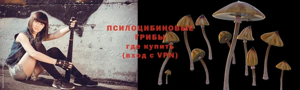 прущие грибы Краснотурьинск