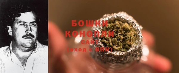 прущие грибы Краснотурьинск