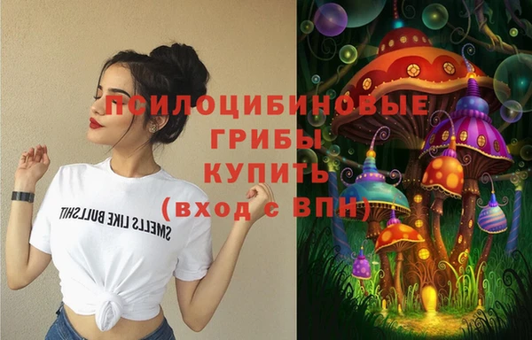 прущие грибы Краснотурьинск