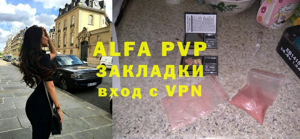 прущие грибы Краснотурьинск