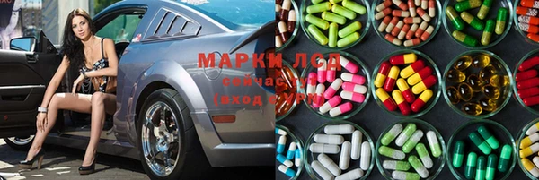 прущие грибы Краснотурьинск