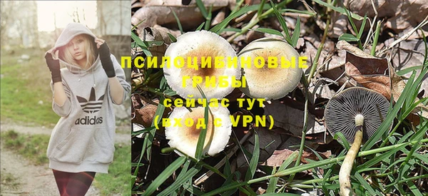 mdpv Корсаков
