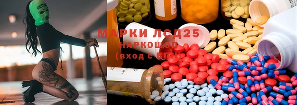 прущие грибы Краснотурьинск