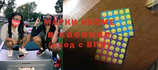 прущие грибы Краснотурьинск