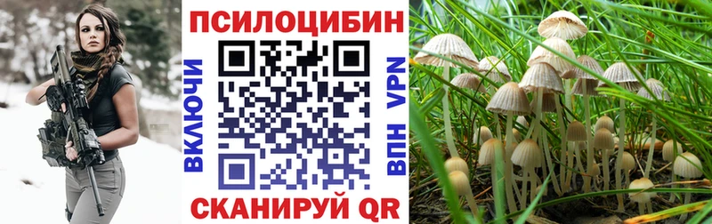 Купить  Власиха  Галлюциногенные грибы Cubensis 